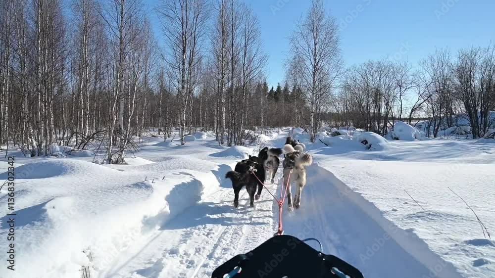 Drone en Laponie Finlandaise