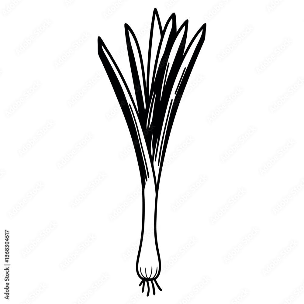Spring onion illustration vector design. Spring onion illustration vector design.