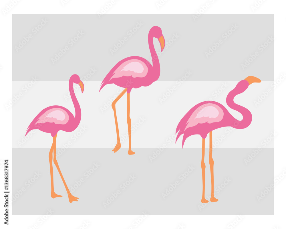 Obraz premium Flamingo, SVG Bundle, Bird Svg, Pink Flamingo Svg, Circut Cut Files Silhouette, Animals Svg, Summer Svg, Flamingo Silhouette, Flamingo Clipart, Vcetor, Outline, Eps, Cut file, Flower Outline, 
