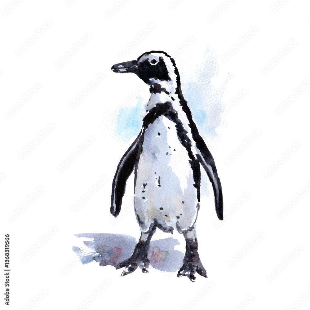 Fototapeta premium Wildlife of the seas and oceans, penguin painted with watercolors