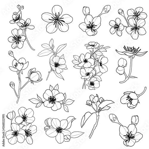 Cherry Blossom Silhouettes Set for Minimalist Floral Art