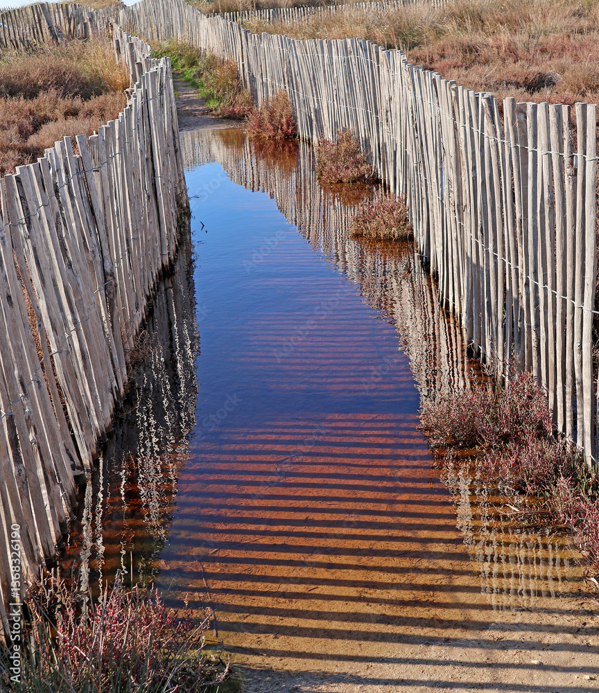 inondation entre les clotures de dune