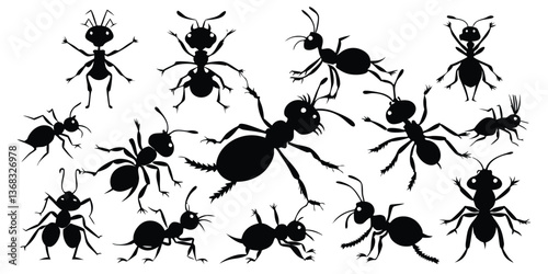 Collection of Ant Silhouettes Vector Illustration
