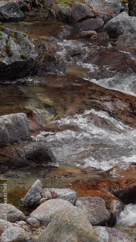A Tranquil Stream Featuring Rocks and Crystal Clear Water Flowing Gently Through Natures Beauty A Tranquil Stream Featuring Rocks and Crystal Clear Water Flowing Gently Through Natures Beauty