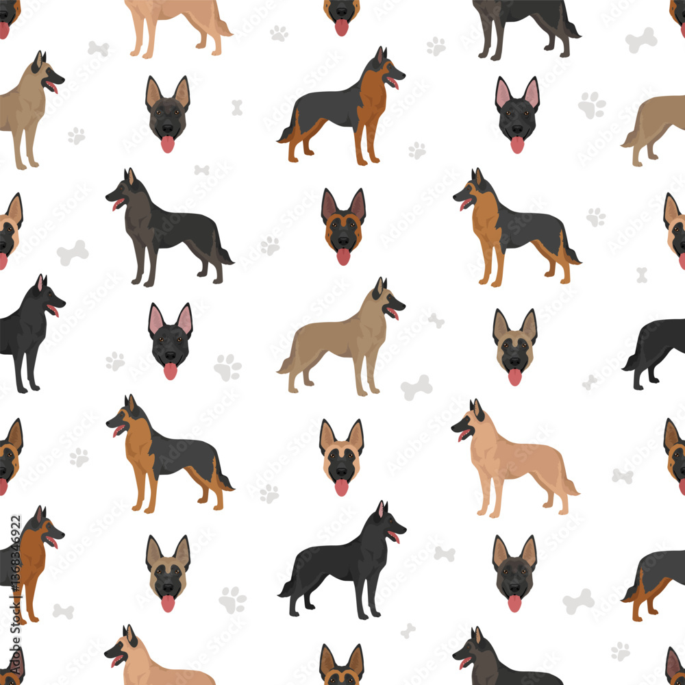 Obraz premium German Malinois clipart. German Shepherd - Belgian Malinois mix. All possible coat colors, breed information, adults and puppies. Vector illustration