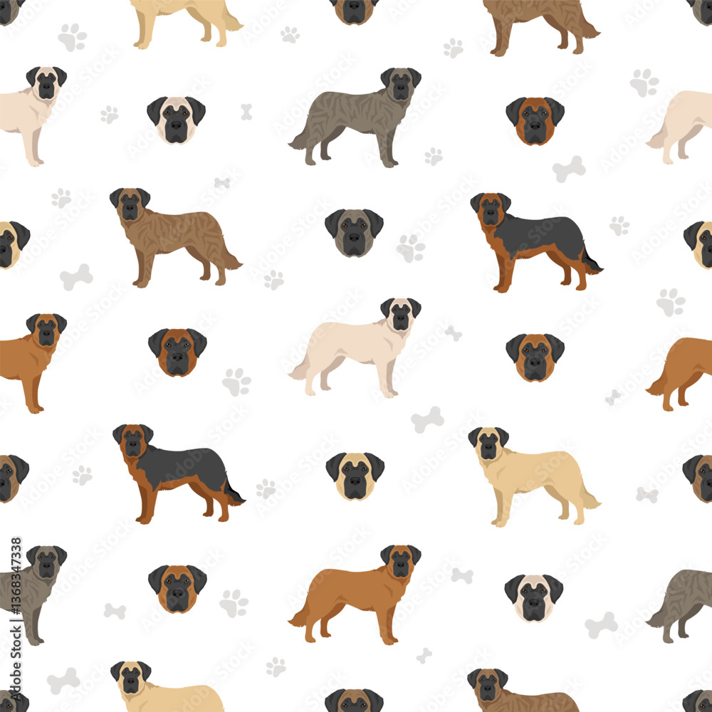 Obraz premium German Shepherd Mastiff clipart. German Shepherd - English Mastiff mix. All possible coat colors, breed information, adults and puppies. Vector illustration
