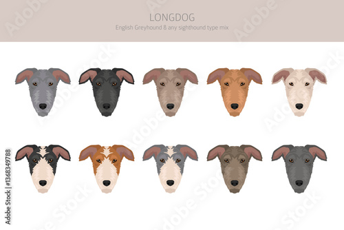 Longdog mix clipart. English Greyhound - any sighthound mix. All possible coat colors, breed information, adults and puppies.  Vector illustration