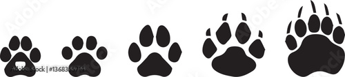 cat and dog paw prints vector icon