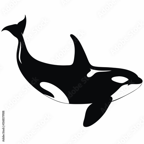 Killer whale in black and white silhouette