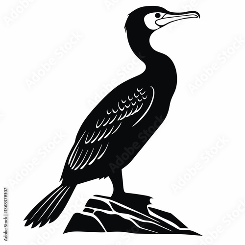 Cormorant bird standing on rock silhouette