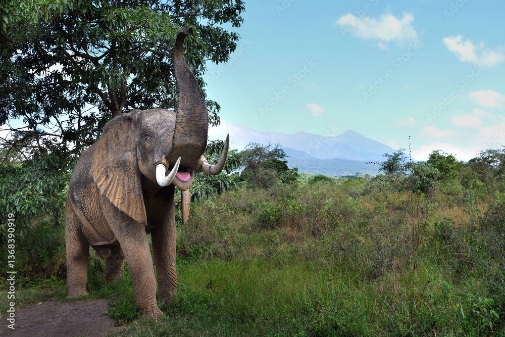 A model of an elephant at the entrance to Arusha National Park. Tanzania