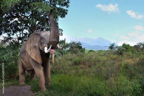 Obraz na płótnie A model of an elephant at the entrance to Arusha National Park. Tanzania w salonie