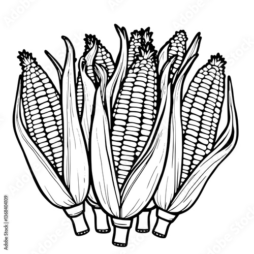 A Collection Of Freshly Harvested Corn Cobs
