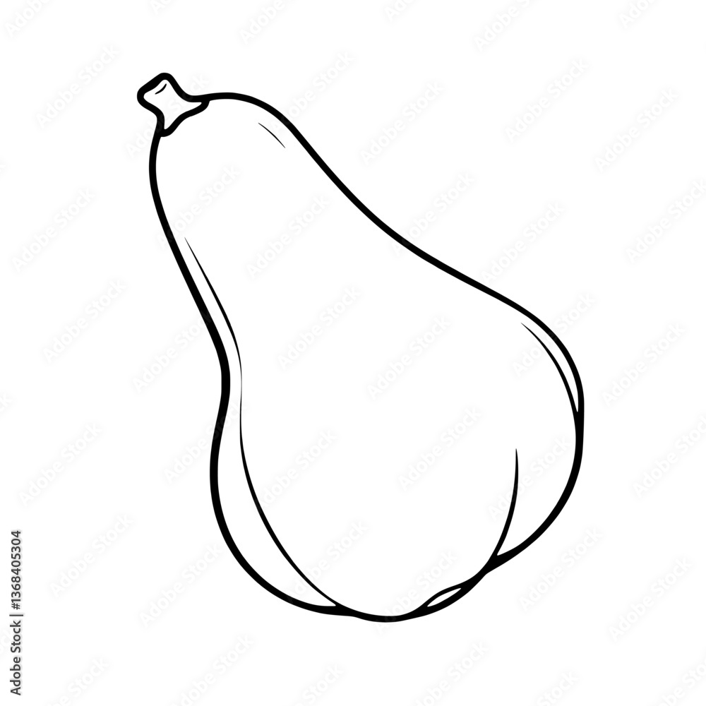 Line Drawing Of A Single Butternut Squash Vegetable Line Drawing Of A Single Butternut Squash Vegetable