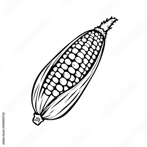 Hand-Drawn Illustration Of An Ear Of Corn