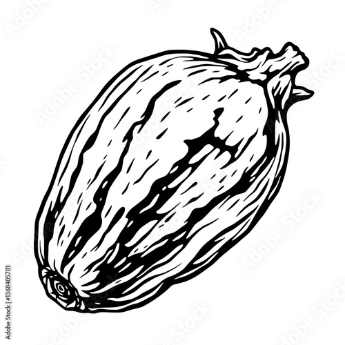 Detailed Line Drawing Of A Single Ripe Calabash