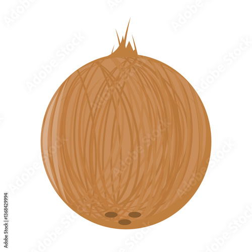 coconut shell. coconut. tropical fruit. vector illustration. agriculture