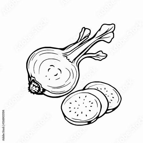 Black Outline Vector of Kohlrabi Ganth Gobi with Whole and Cut Slices Isolated on a White Background