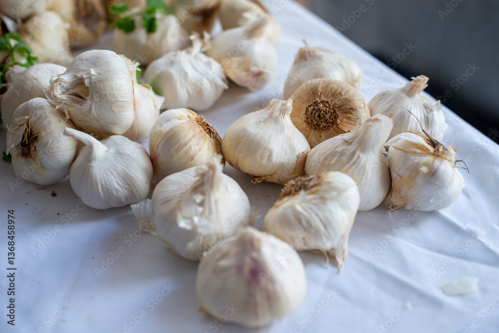 Multiple dried raw bulbs of white garlic, allium sativum on a white cloth. The fresh edible harvest of garlic coves is for sale at a farmer's market.The organic ingredient is covered with dried leaves Multiple dried raw bulbs of white garlic, allium sativum on a white cloth. The fresh edible harvest of garlic coves is for sale at a farmer's market.The organic ingredient is covered with dried leaves