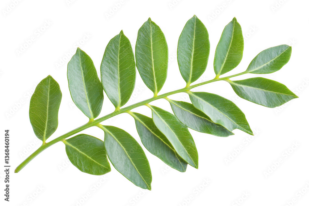 Naklejka premium A close up shot of a pile of cashews on a transparent background