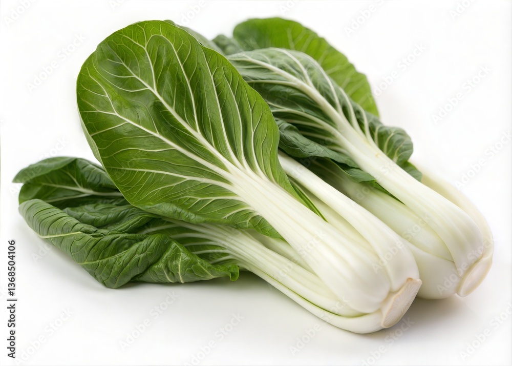 Fresh Bok Choy, Vibrant Green and White, Ready to Cook, Close-up of fresh bok choy, showcasing the vibrant green leaves and white stems. Fresh Bok Choy, Vibrant Green and White, Ready to Cook, Close-up of fresh bok choy, showcasing the vibrant green leaves and white stems.