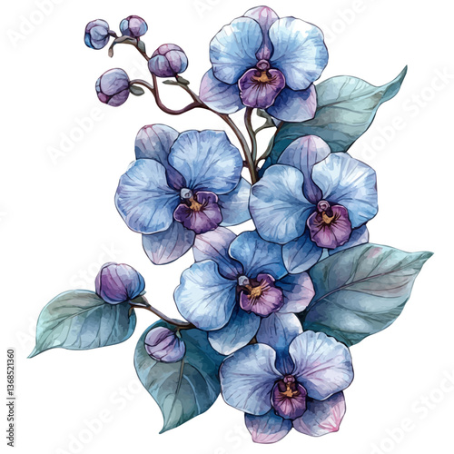 A watercolor vector of an orchidaceae, isolated on a white background. orchidaceae vector

