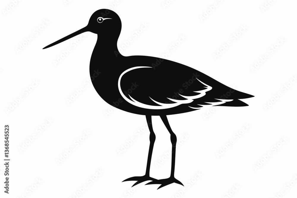 Fototapeta premium Willet black silhouette vector