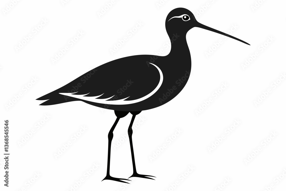 Obraz premium Willet black silhouette vector