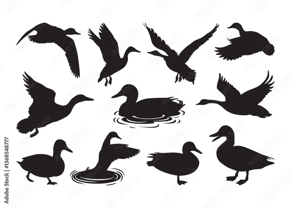 Obraz premium Duck vector, Duck clipart, Duck silhouette