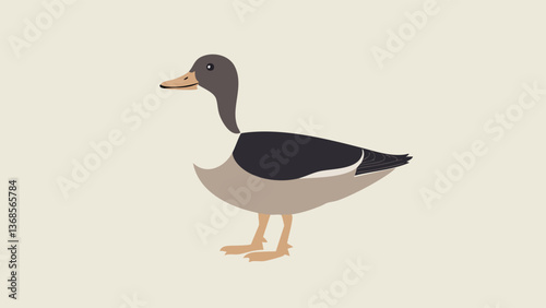 Duck - Simple and Elegant Animal Design .eps