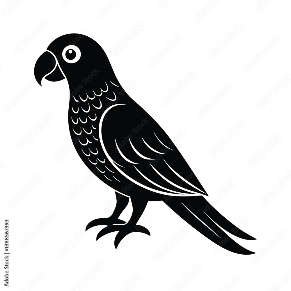 Obraz premium parrot vector illustration