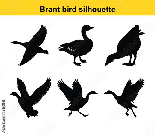 Brant Bird Silhouette Collection