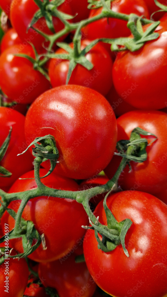 Branch of tomatoes for sale close-up. Farm produce. Agriculture. Vegetables. Fresh ripe tomatoes. Tomatoes stacked together for sale at a farmers market. Food market