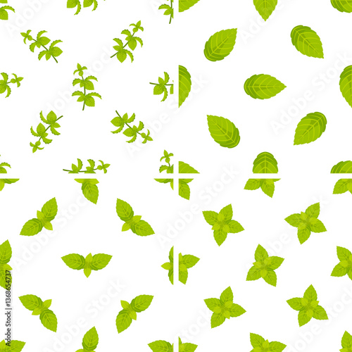 Seamless pattern with fresh mint leaves and sprigs on white background