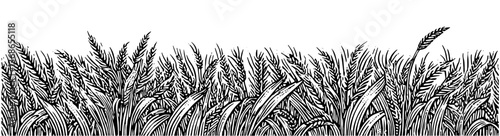 Horizontal wheat field in black and white woodcut style with textured details representing agriculture and harvest