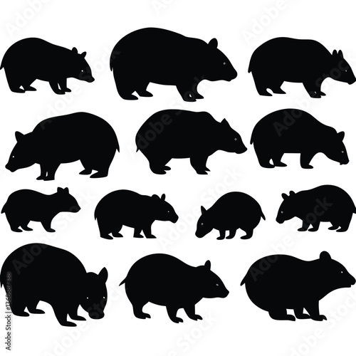 set of wombats, collection of silhouettes of black vector