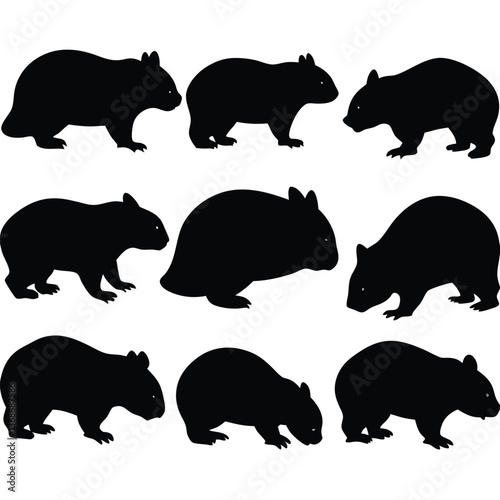 set of wombats, collection of silhouettes of black vector