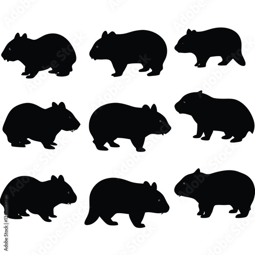 set of wombats, collection of silhouettes of black vector