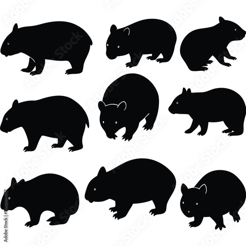 set of wombats, collection of silhouettes of black vector
