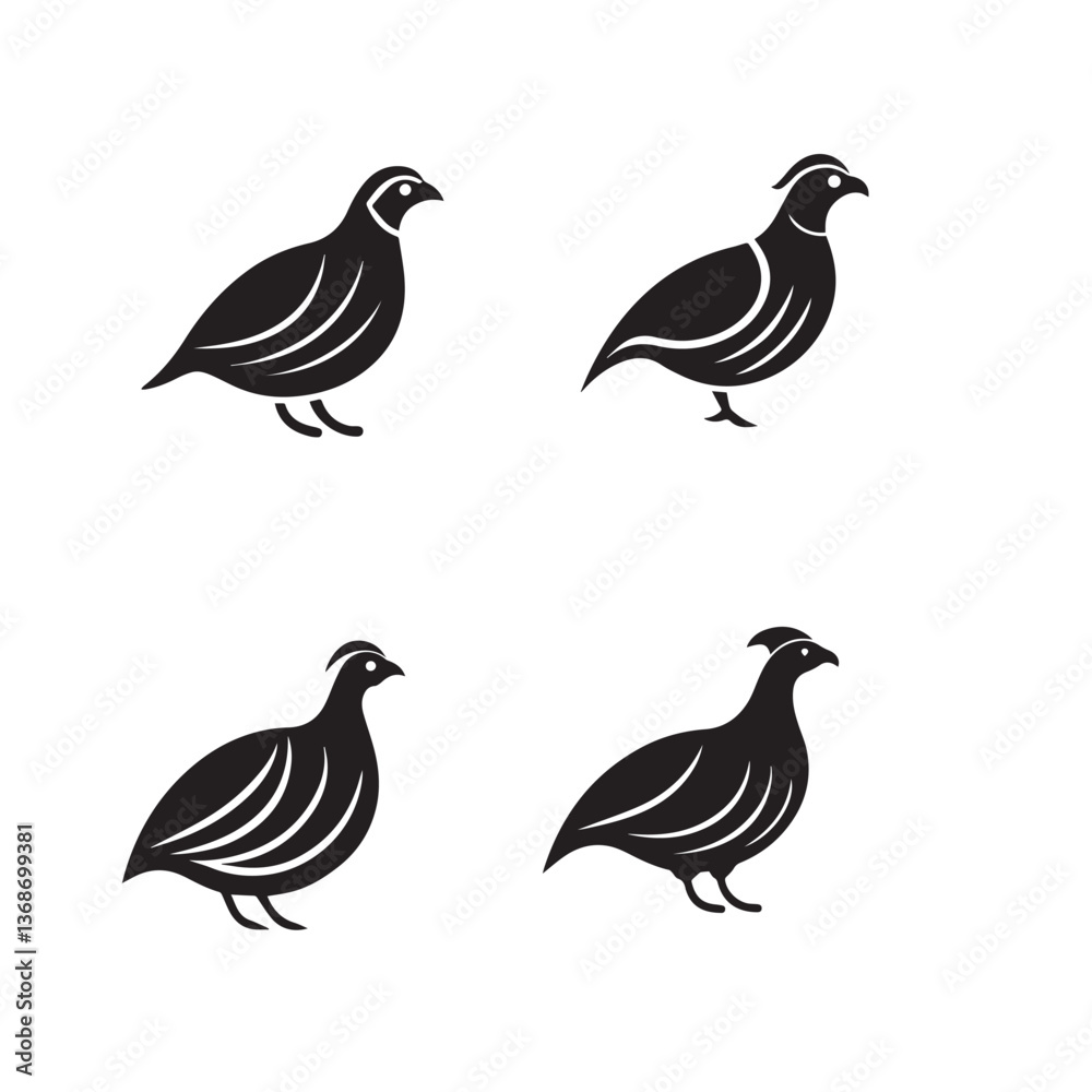 Collection of silhouette birds Collection of silhouette birds