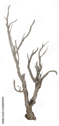 Dead tree