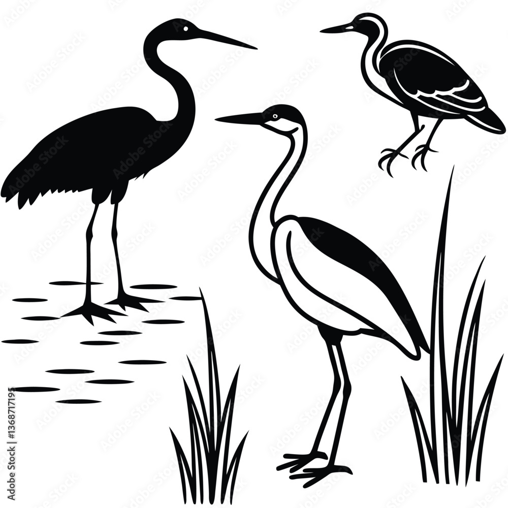 Obraz premium Birds silhouette vector collection white background.