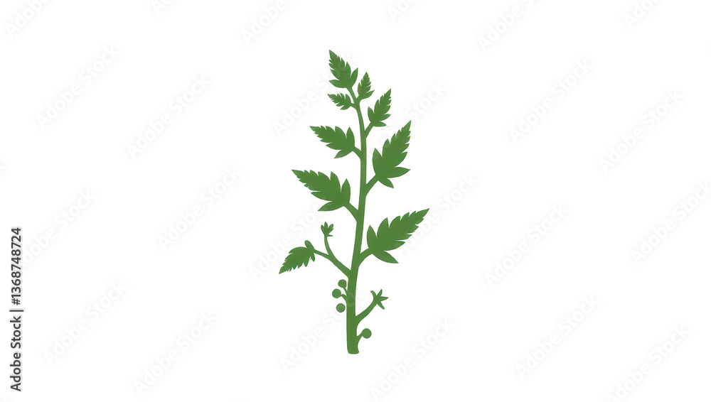 Obraz premium Green Plant with Berries Silhouette