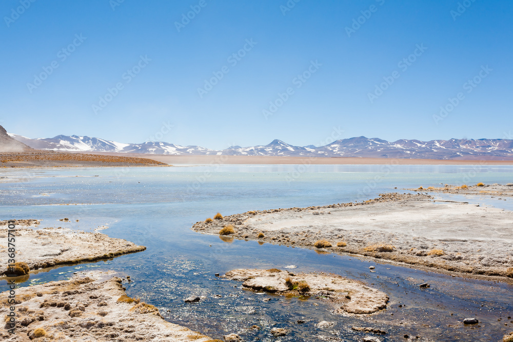 Bolivian lagoon landscape,Bolivia
