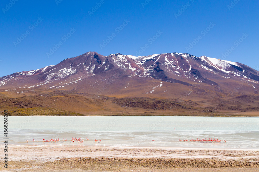Laguna Hedionda view, Bolivia