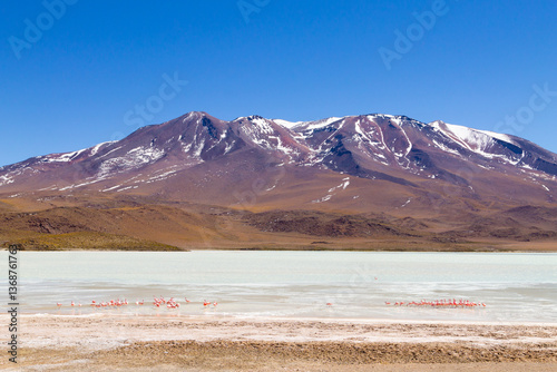 Obraz na płótnie Laguna Hedionda view, Bolivia w salonie