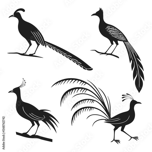 Lyrebird icon set black silhouette icon vector
