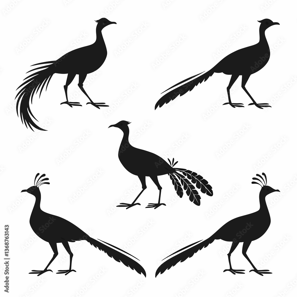 Fototapeta premium Lyrebird icon set black silhouette icon vector