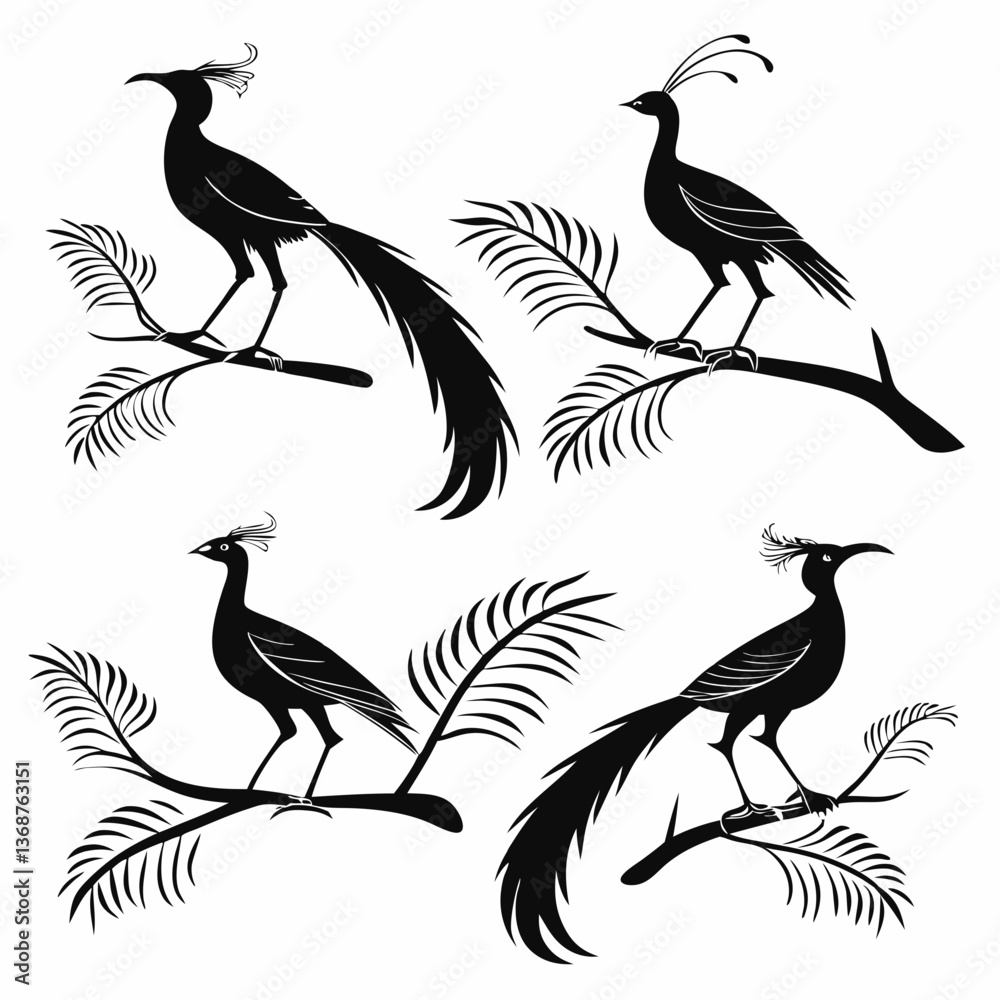 Naklejka premium Lyrebird icon set black silhouette icon vector
