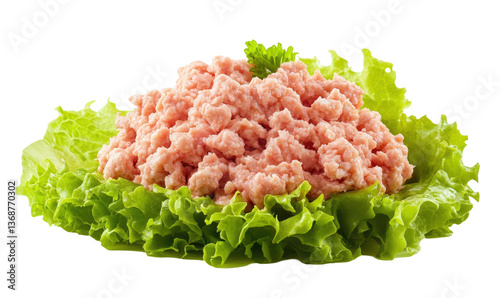 Minced meat on lettuce, healthy protein source